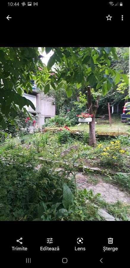 Apartament Simona Apartment Brasov Luaran gambar